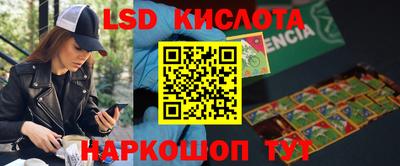 Альфа ПВП Малгобек