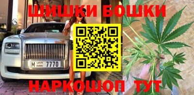 Альфа ПВП Малгобек