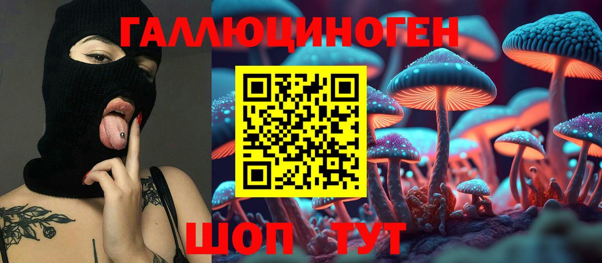 Псилоцибиновые грибы Cubensis Бузулук